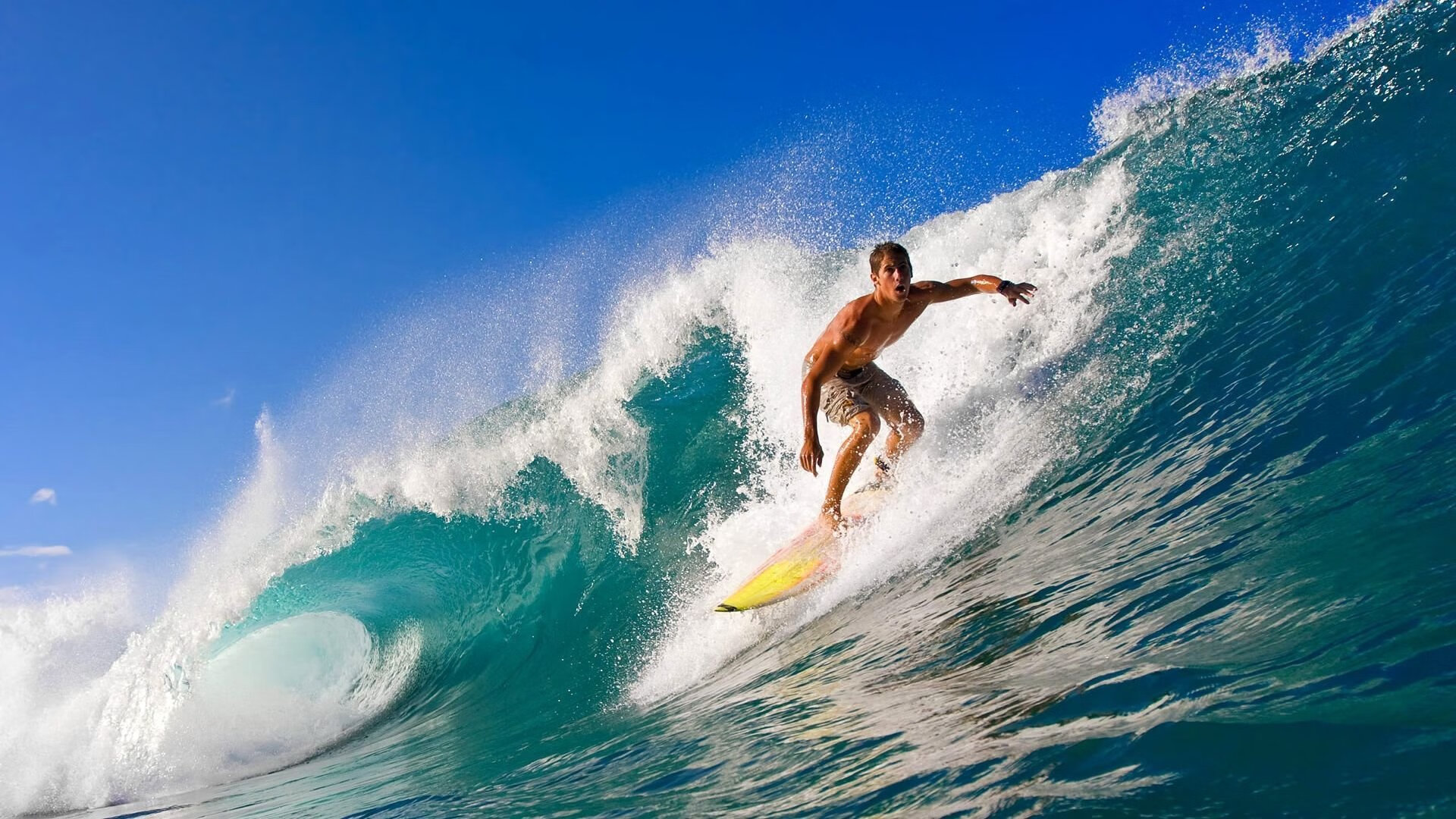 万乐天完美入水赢得喝彩，万乐游乐